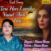 About Teri Har Lamha Yaad Aati Hai Song