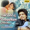 Tum Dil Ki Dhadkan Mein Recreated