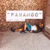 About Panamgo (feat. nik) Song