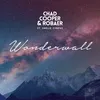 About Wonderwall (feat. Emelie Cyréus) Song