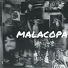 About Malacopa Song