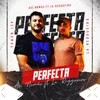 About Perfecta (feat. La Reggueiro) Song