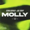 About MOLLY Song