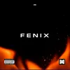 About Fenix Song