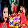 About Holi Mein Tohar Doli Sasural Jayi Ho Song