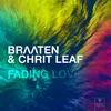 About Fading Love Song