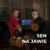 About Sen Na Jawie Song