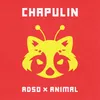About Chapulin Song