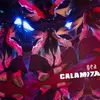 Calamita