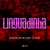 About Linguadinha (feat. DJ PHFive) Song