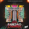 About Paredão Descontrole Song