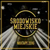 Środowisko Miejskie