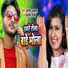 About Hamre Tola Baade Bhola Song