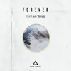 About Forever (feat. Kid Travis) Song