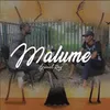 About Malume Song