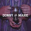 About Donny & Marie Song