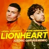 About Lionheart (Cedric Gervais Remix) Cedric Gervais Remix Song