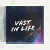 About Vast In Life (feat. Daanos & Snackbarz) Song