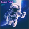 About Space Walk Song