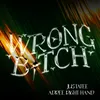 About Wrong Bitch Song