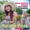 Matamu Picek