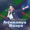 About Arjunanya Buaya Song