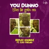 About You Dunno Wha Is Goin On (feat. Cleo Thelma) Song