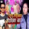 About Pyar Mohabbat Dhokha Ba Song