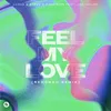 About Feel My Love (feat. Joe Taylor) [Redondo Remix] Song