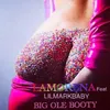 About Big Ole Booty (feat. Lil Mark Baby) Song