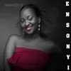 About Ensonyi Song