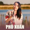 About Phố Xuân Song
