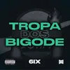 About Tropa dos Bigode Song