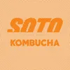About Kombucha Song