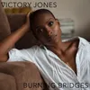 About Burning Bridges Song