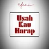 About Usah Kau Harap Song