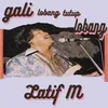 About Gali Lobang Tutup Lobang Song