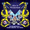 About Alice in Wonderland Song