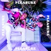 About Pleasure Song