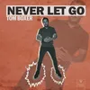 About Never Let Go Song