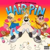 About Hair Pin Song