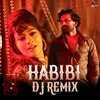 Habibi Habibi  (DJ Remix) DJ Remix