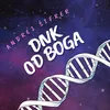 About DNK od Boga Song