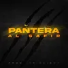 Pantera