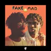 About Fake Mad (feat. LaSalle Grandeur) Song