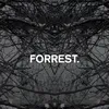 About FORREST. Song