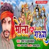 About Bhola Sang Gaura Song