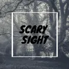 About Scary Sight Song