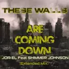 These Walls Are Coming Down (Extended Mix) (feat. Shimmer Johnson)