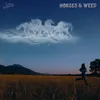 About Horses & Weed Song